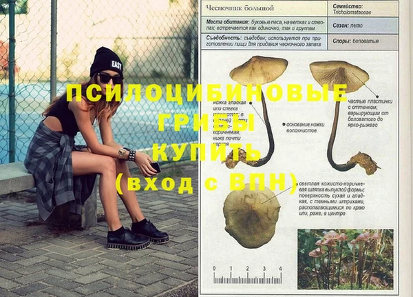 соль курить ск Верхний Тагил