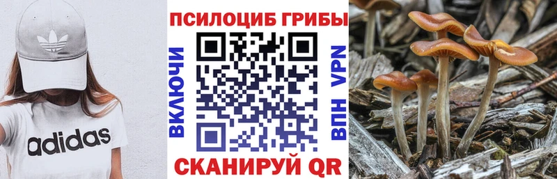мориарти Telegram  Добрянка  Псилоцибиновые грибы GOLDEN TEACHER  mega ONION 